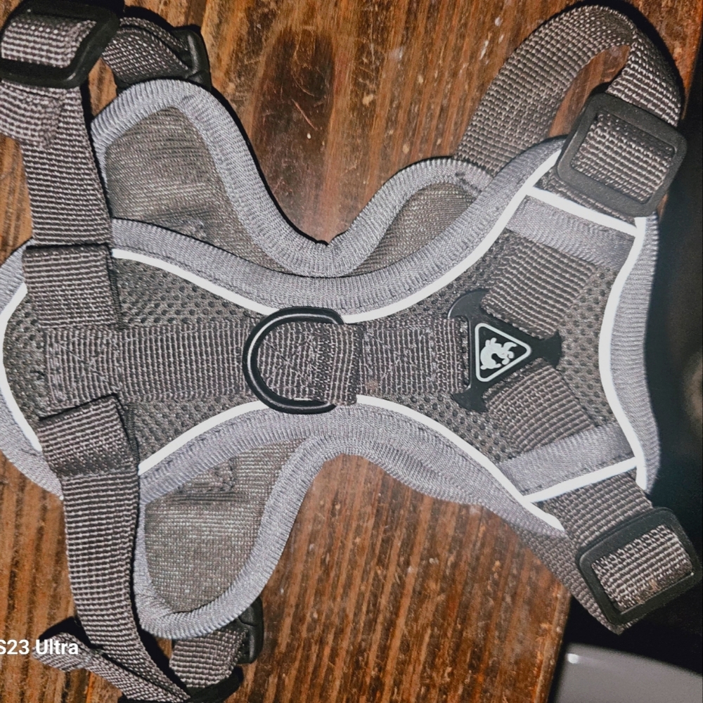 Pet harness